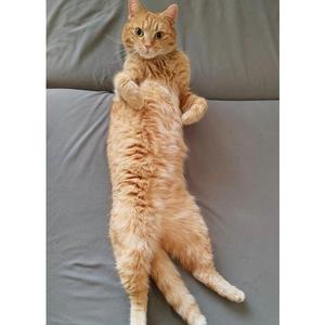 @kesulkak: Nenech se ničím a nikým rušit 💪