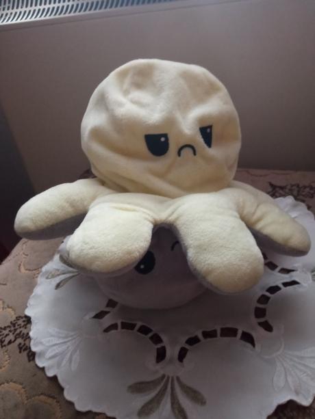 Chobotnice plyšová, 