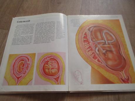 Neviditelný svět, zázrak života, 