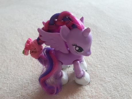 My little pony s bruslemi a jiní poníci,