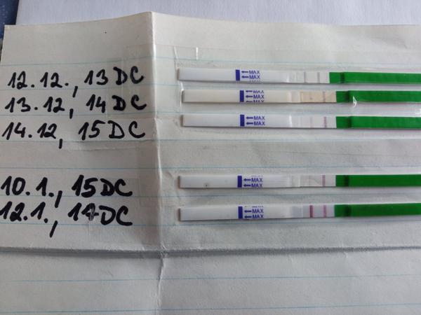 Šance na početí po styku před ovulací: Jaká je?