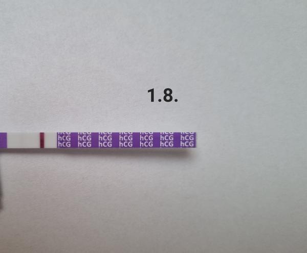 Těhotenství: Jak poznat první příznaky?