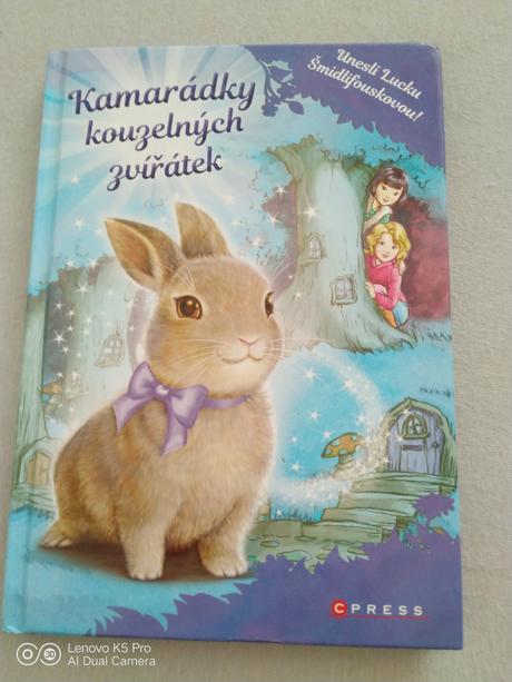 Dětská knížka - kamarádky kouzelných zvířátek, 