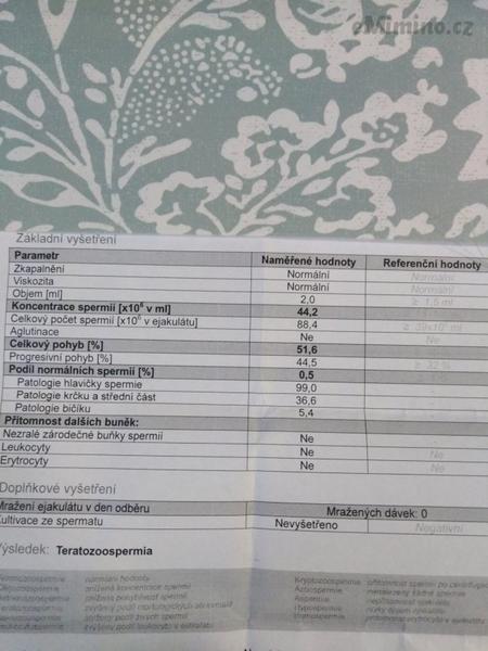 Teratozoosperimia - zkušenosti - lze otěhotnět?