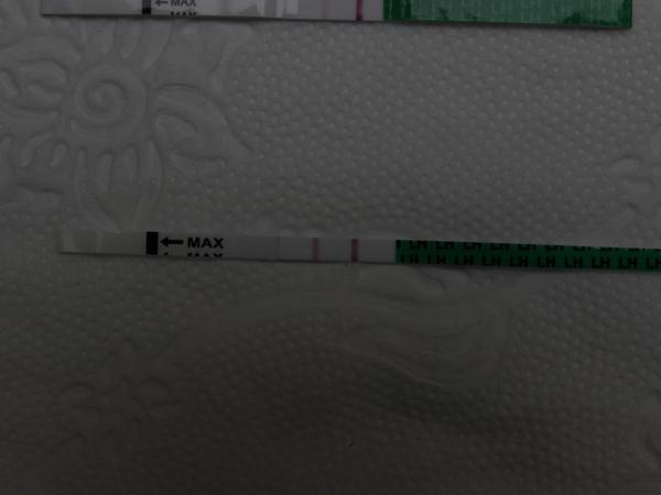 Ovulační test, je pozitivní?