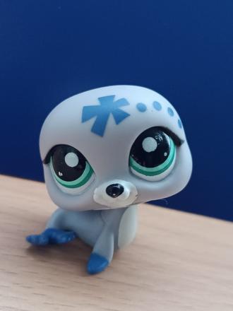 Lps tuleň / lachtánek zdobený, 