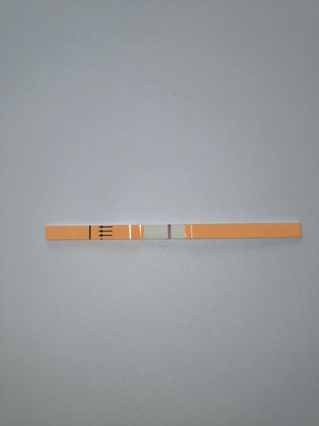 Zkušenosti s těhotenským testem: Ryska po hodině?