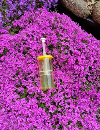 Šlehač-retro,50 pošta,