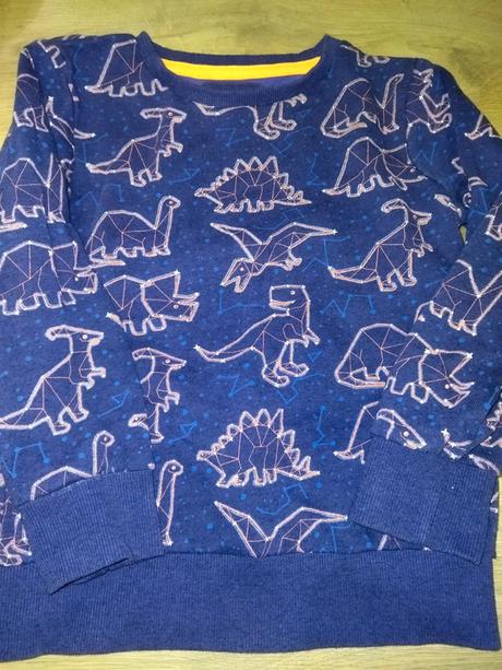 Mikina s dinosaury 104 tu, tu,104