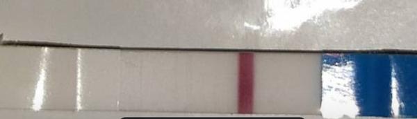 Je bílá čárka na testu pouze ryska?