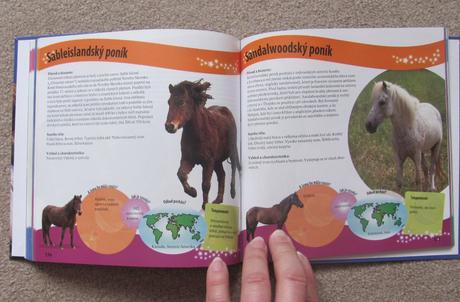 Koně našeho světa, 