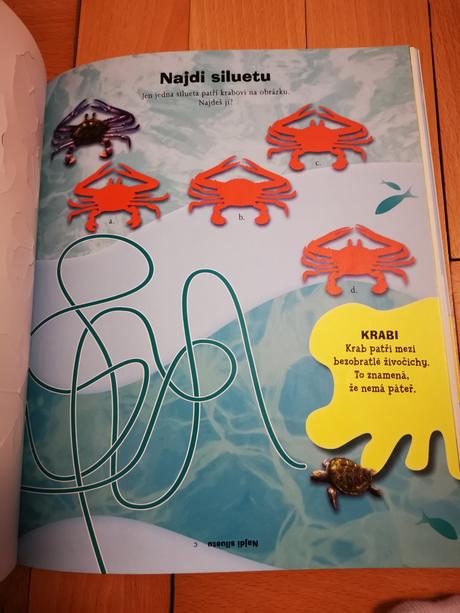 Velká kniha hádanek, 