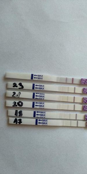 Je tento ovulační test pozitivní?