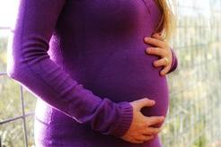 Asistovaný hatching