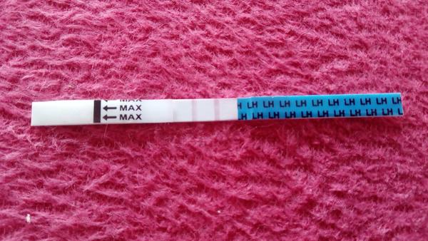 Jsou ovu čárky obě stejné, i když jsou tak nevýrazné?