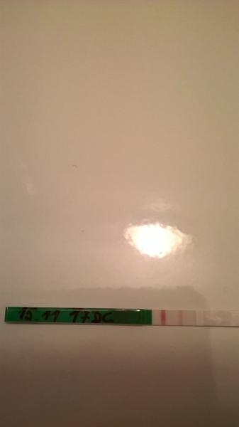 Co myslíte, je ovulační test pozitivní?