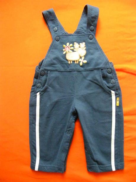 Komplet mikina a lacle, frog,74