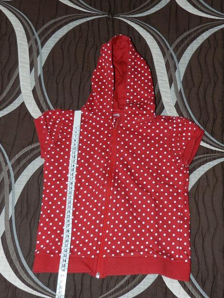 Vesta puntíkatá, 104