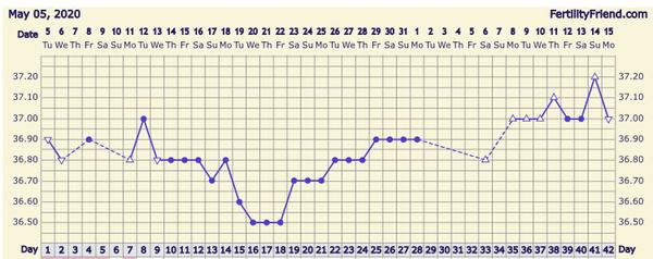 21 dpo stále zvýšená bt. Duch na tt?
