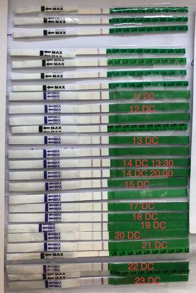 Ovulační testy - dr. Max. Máte zkušenosti?