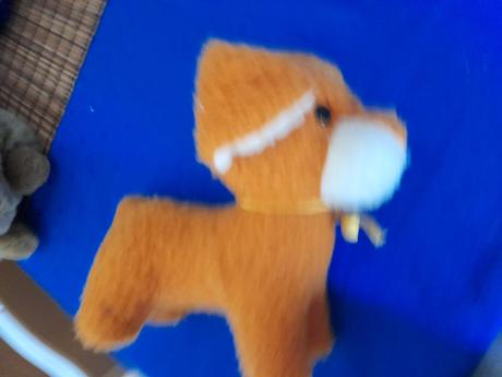 Starší pejsek, pes dubena z roku 1888,