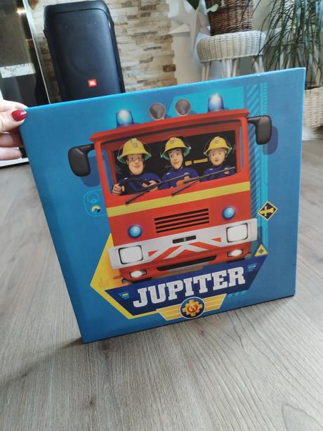 Obraz požárník hasič sam,