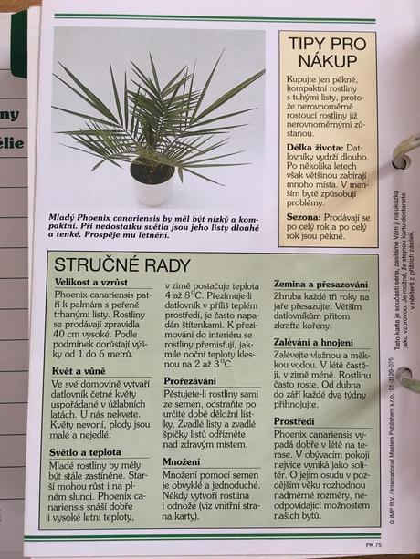 Kniha pokojové květiny od a do z, 