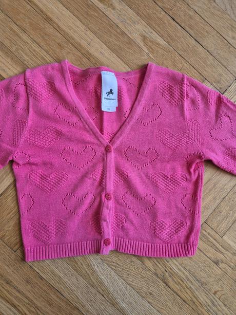 Svetřík se srdíčky, palomino,116