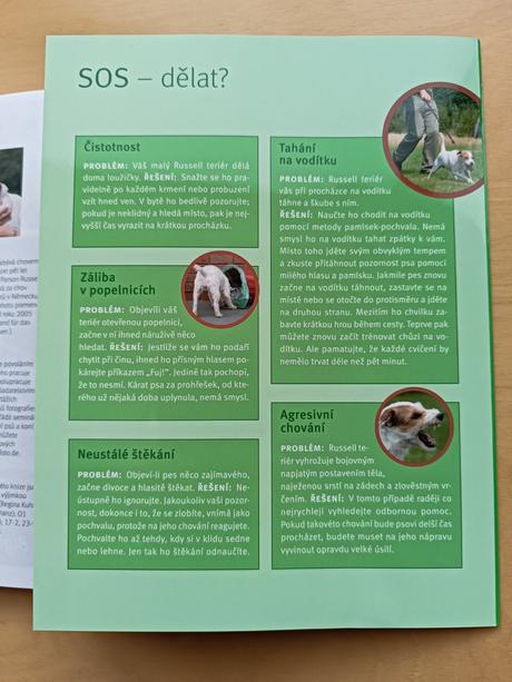 Parson a jack russell terriér - karin wegner, 