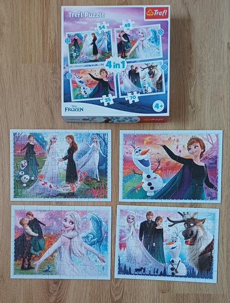 Puzzle frozen,