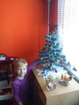 Pochlubte se vánočním stromečkem