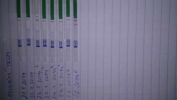 Mám ovulaci? Nebo mám počkat?