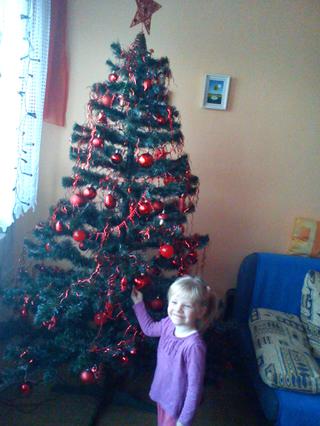 Pochlubte se vánočním stromečkem