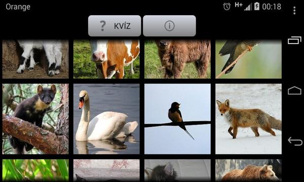 Naučte se rozpoznávat zvuky a názvy 68 ptáků, savců atd.