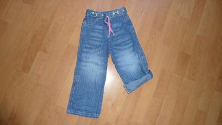 Rollupky, morris mouse,98